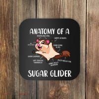 Anatomy Of A Sugar Glider Funny Cute Sugar Glider Gift Coaster thumb 0
