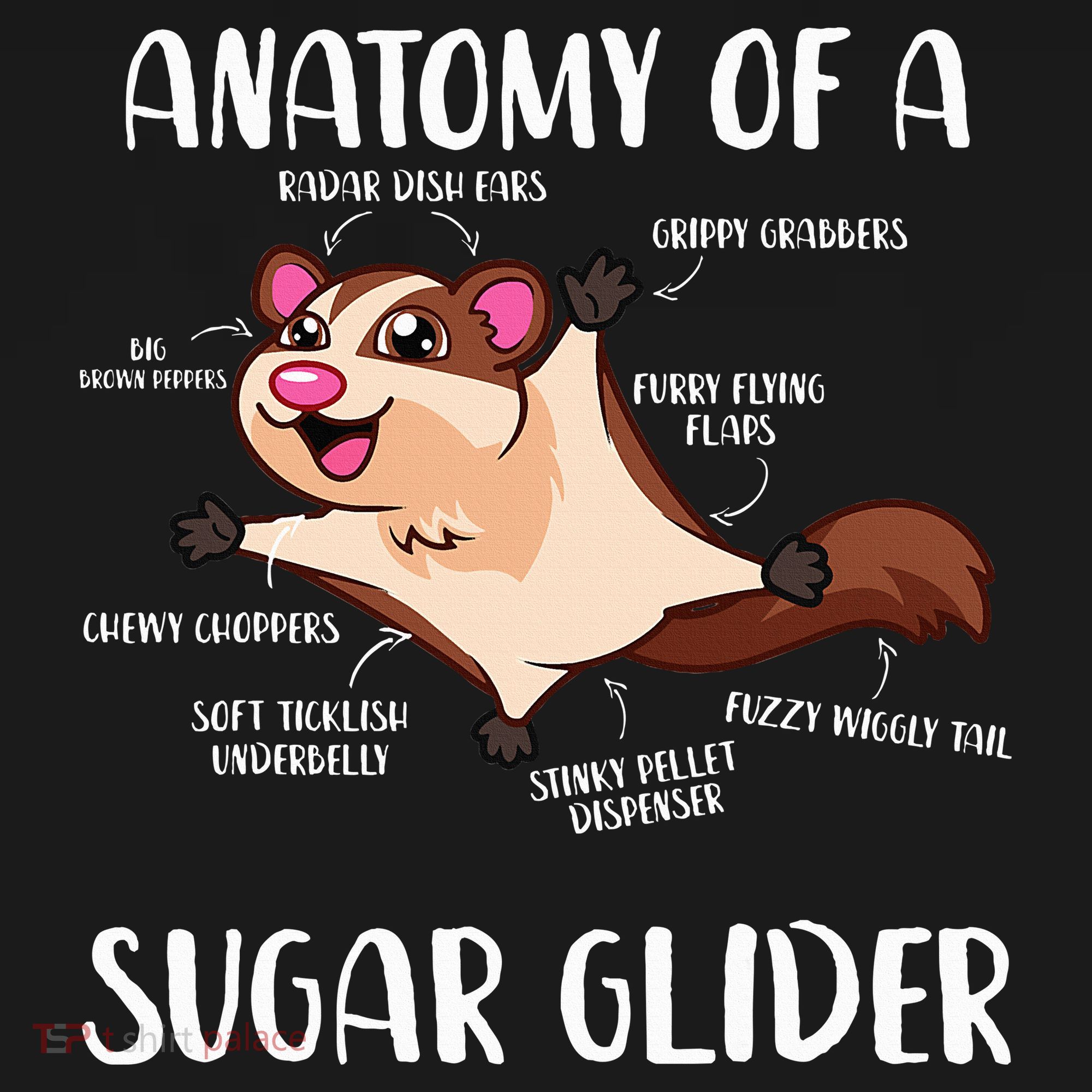 Anatomy Of A Sugar Glider Funny Cute Sugar Glider Gift Women's Tank Top