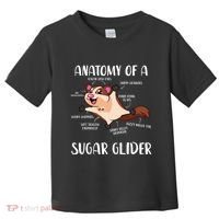 Anatomy Of A Sugar Glider Funny Cute Sugar Glider Gift Toddler T-Shirt thumb 0