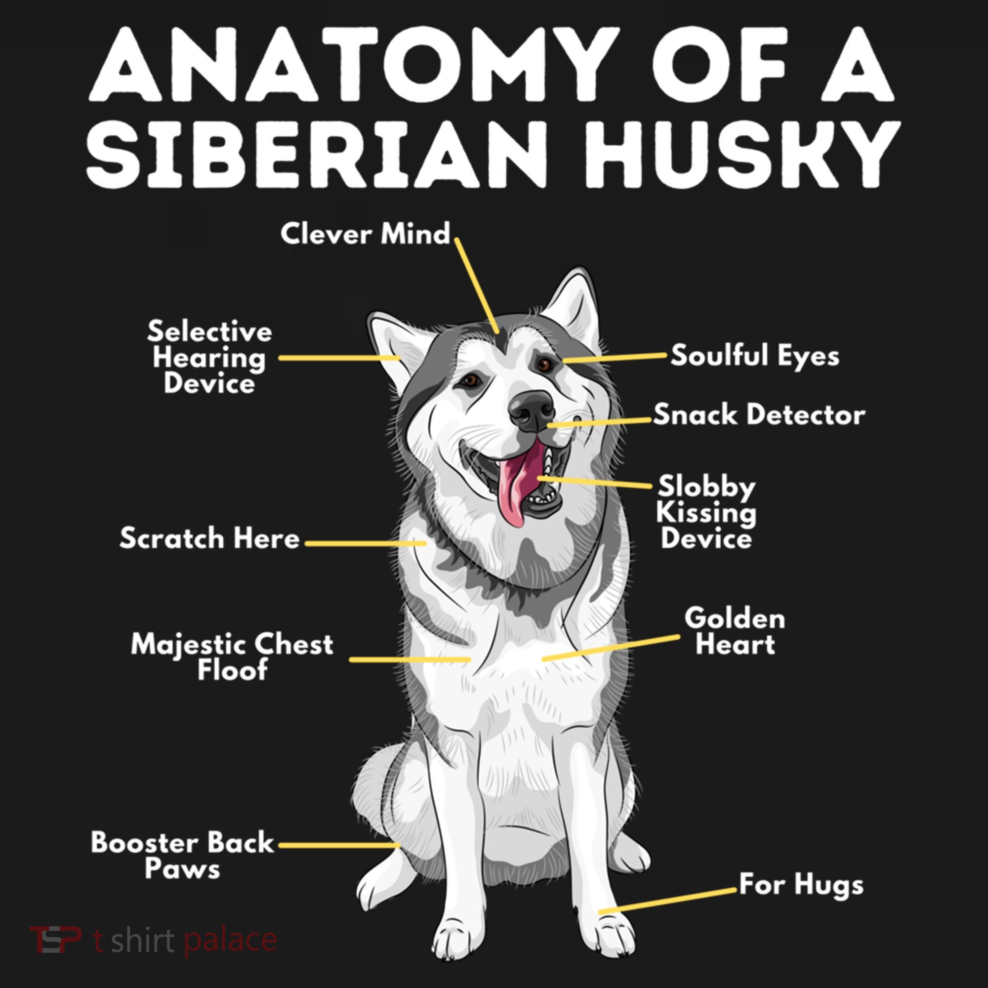 Anatomy Of A Siberian Husky Cool Gift Funny Sibe Owner Dog Lover Gift Women's Hoodie