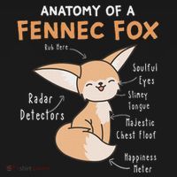 Anatomy Of A Fennec Fox Cute Fox Lover Gift Fennec Fox T-Shirt thumb 7