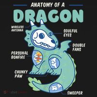 Anatomy Of A Dragon, Funny Dragon Shirt Boys Women's Hoodie thumb 2