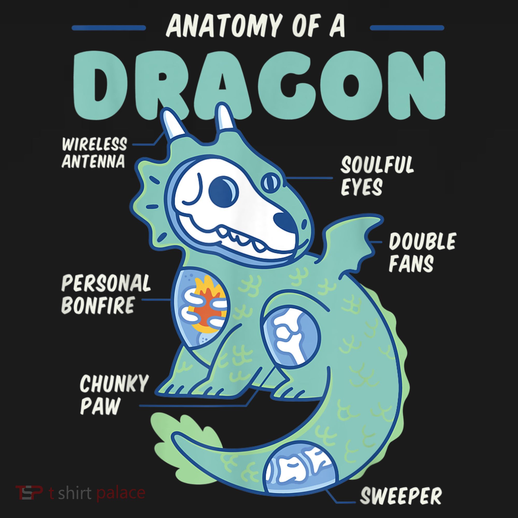 Anatomy Of A Dragon, Funny Dragon Shirt Boys Women's Hoodie