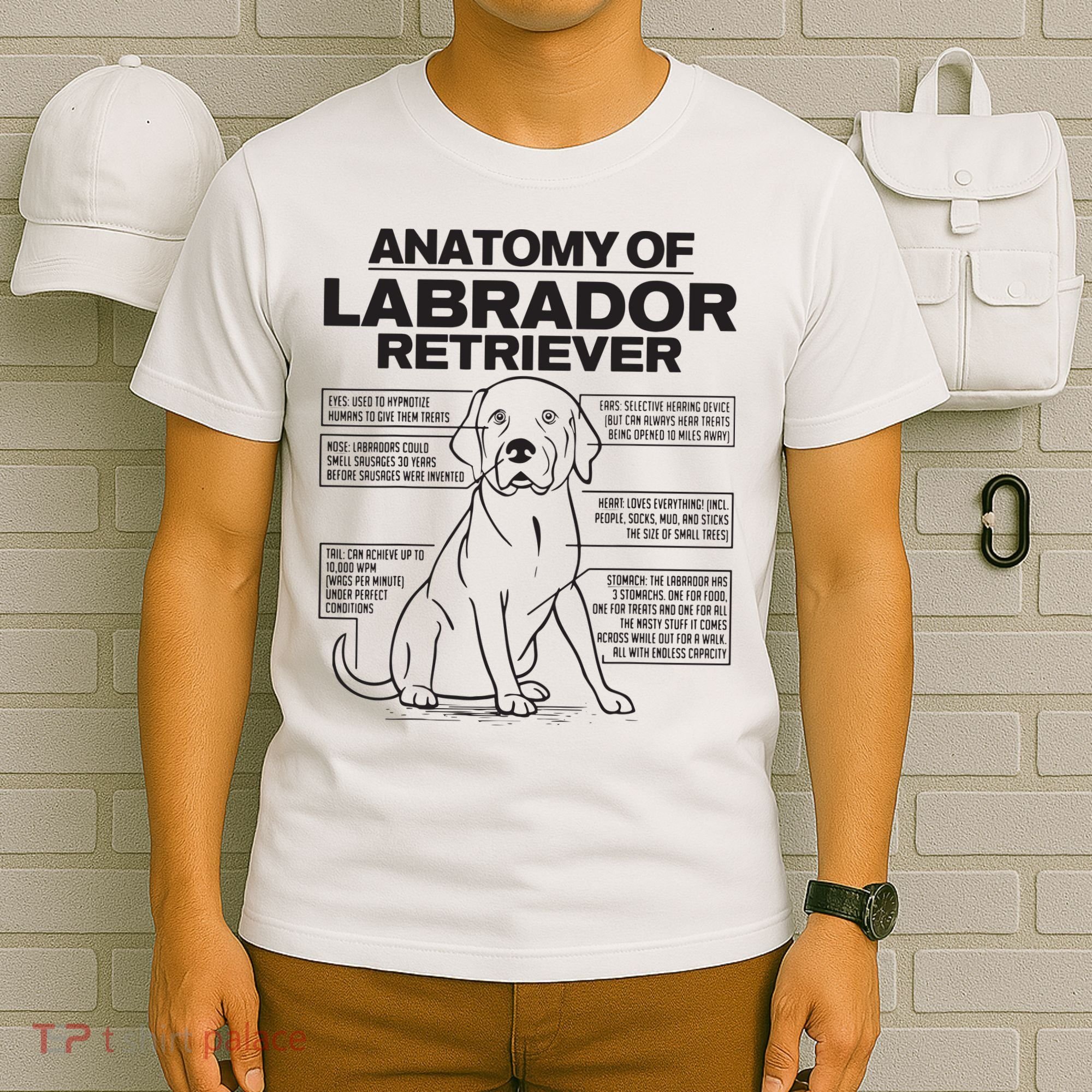 Anatomy Of A Labrador Retriever Funny Dog Owner Gifts T-Shirt
