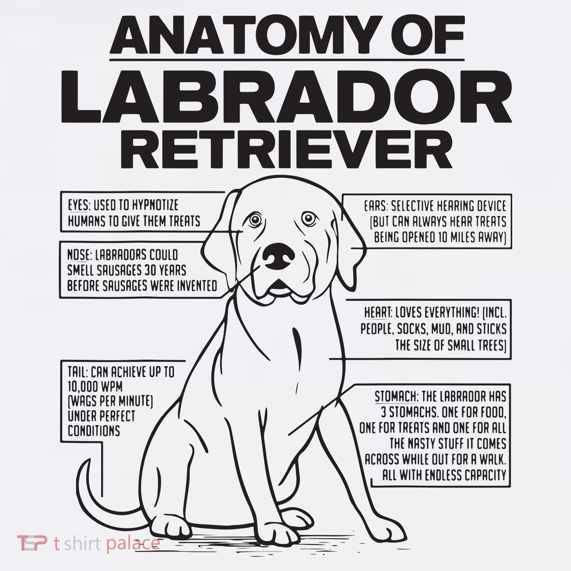 Anatomy Of A Labrador Retriever Funny Dog Owner Gifts T-Shirt