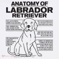 Anatomy Of A Labrador Retriever Funny Dog Owner Gifts Women's Tank Top thumb 5