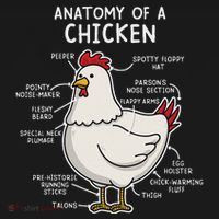 Anatomy Of A Chicken Country Farm Sweatshirt thumb 3