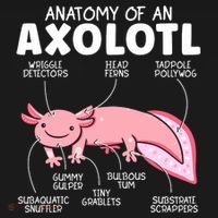 Anatomy Of An Askolotl Owner Mexican Walking Fish Lover  Women's Hoodie thumb 2