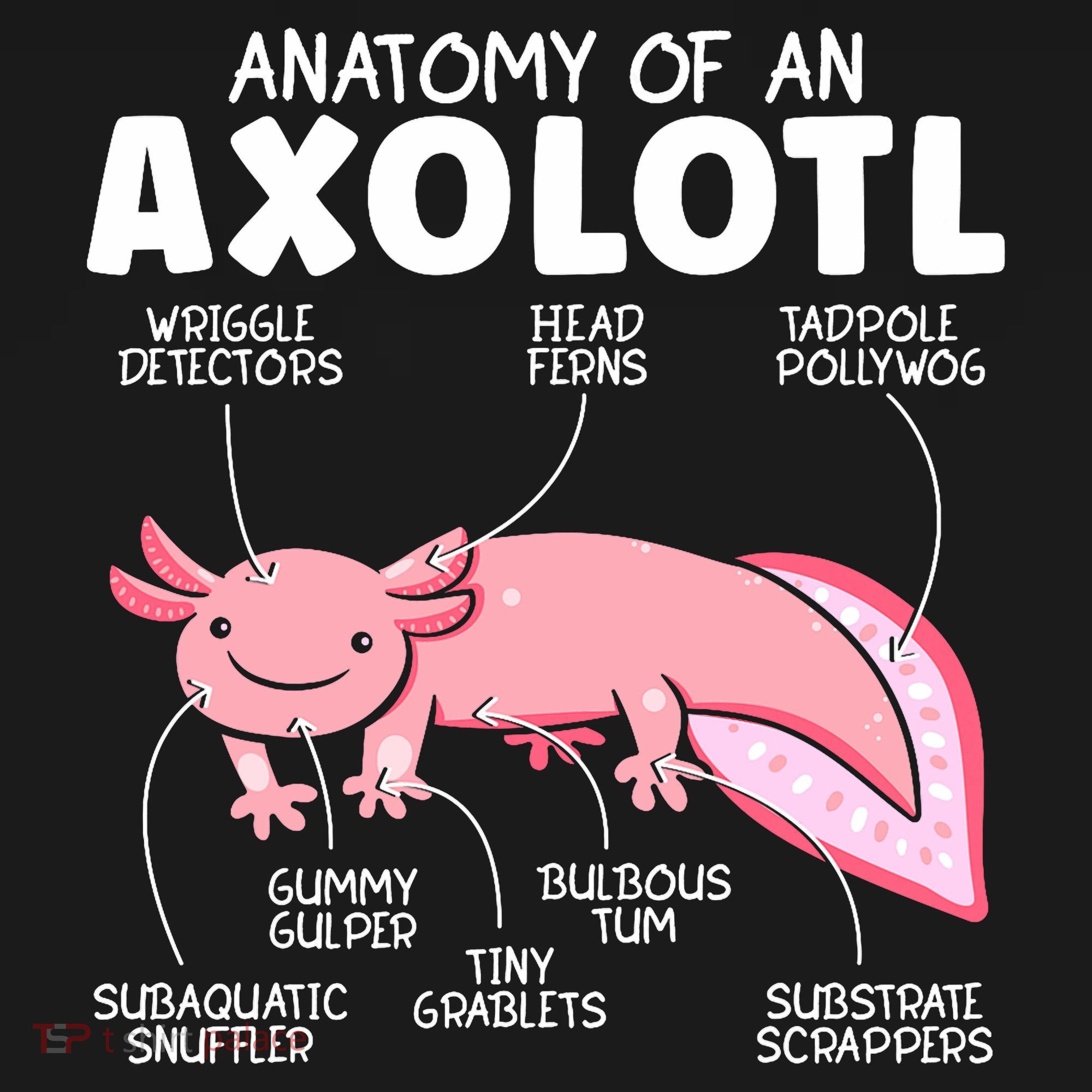 Anatomy Of An Askolotl Owner Mexican Walking Fish Lover  Women's Hoodie