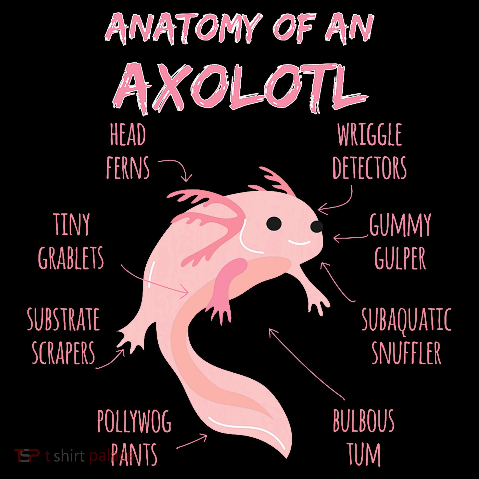 Anatomy Of An Axolotl Mexican Salamander Gift Coffee Mug