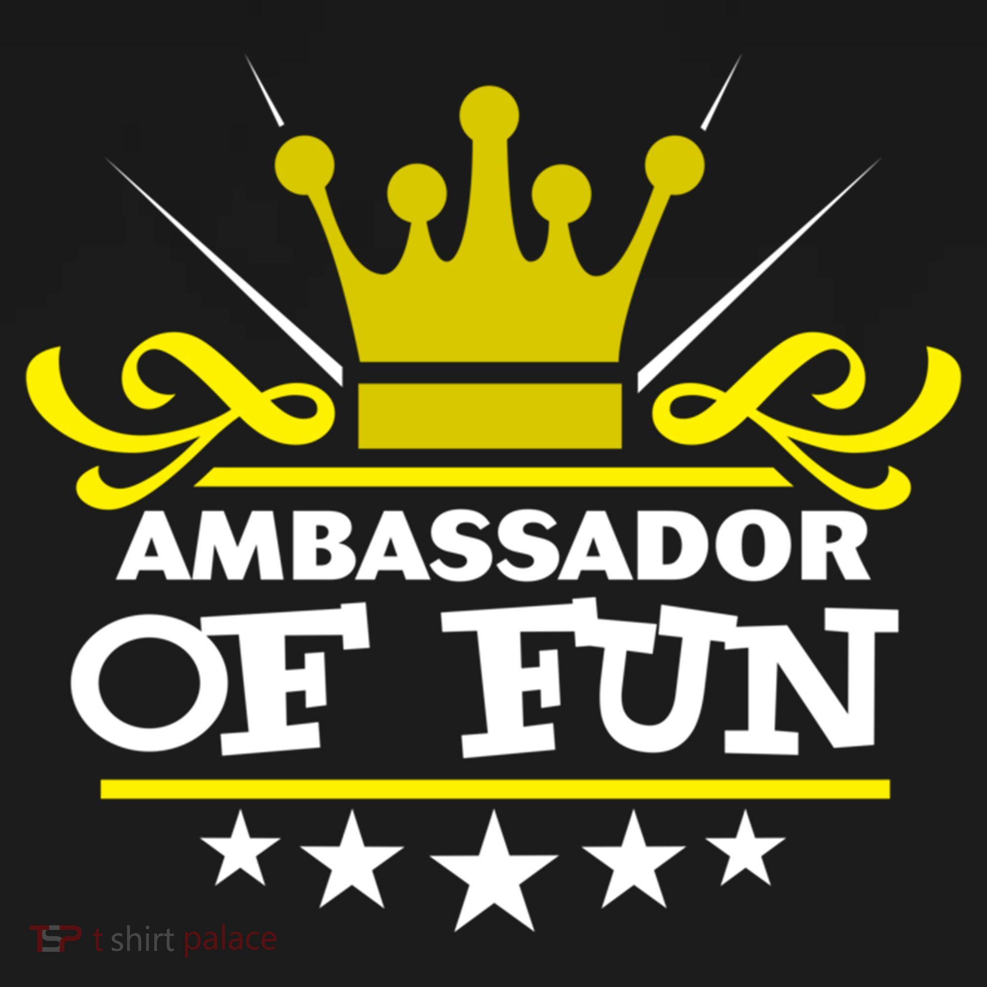 Ambassador Of Fun Funny Saying Costume Party Starter White Funny Gift Women's Hoodie