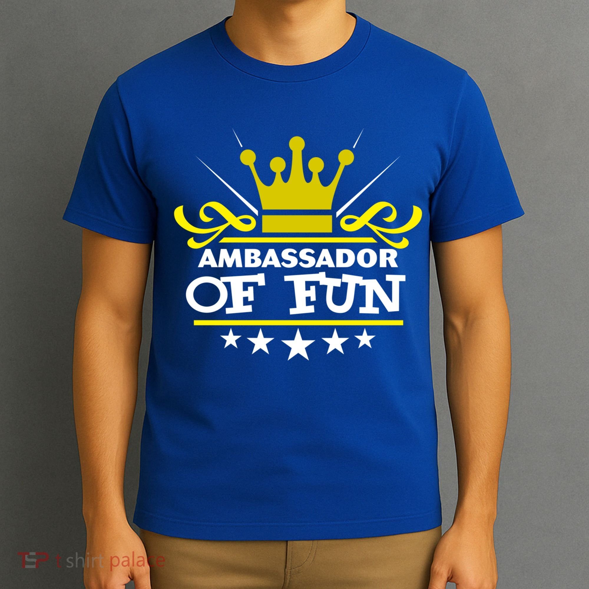 Ambassador Of Fun Funny Saying Costume Party Starter White Funny Gift T-Shirt