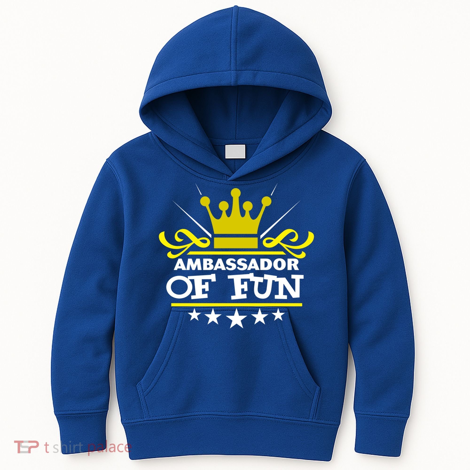 Ambassador Of Fun Funny Saying Costume Party Starter White Funny Gift Kids Hoodie