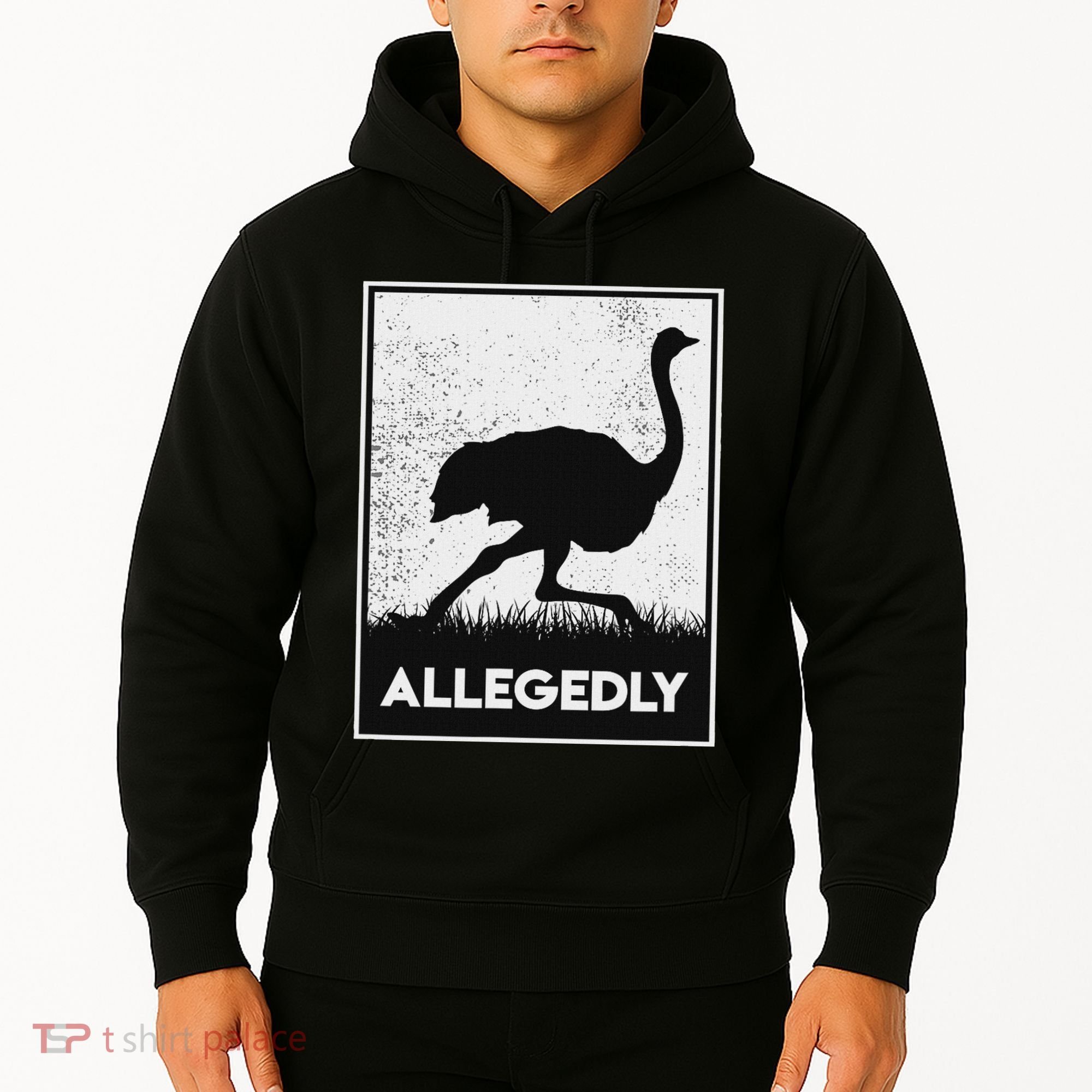 Allegedly Ostrich Funny Flightless Bird Hoodie