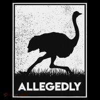 Allegedly Ostrich Funny Flightless Bird Sweatshirt thumb 3