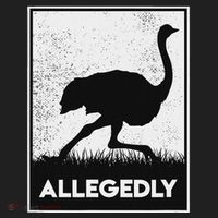 Allegedly Ostrich Funny Flightless Bird Beanie thumb 2