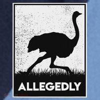 Allegedly Ostrich Funny Flightless Bird Raglan Baseball Sleeve Shirt thumb 2
