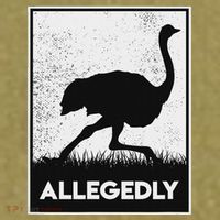 Allegedly Ostrich Funny Flightless Bird Garment-Dyed Women's Muscle Tee thumb 6
