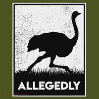 Allegedly Ostrich Funny Flightless Bird The Baniff Cuffed Pom Beanie thumb 2