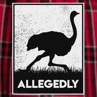 Allegedly Ostrich Funny Flightless Bird Women's Flannel Plaid Pajama Pants thumb 2