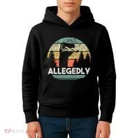 Allegedly Ostrich Funny Bird Lover Kids Hoodie thumb 4
