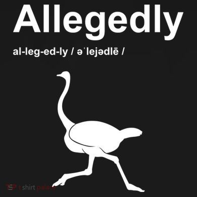 Allegedly Ostrich Funny Ladies PosiCharge Competitor Racerback Tank