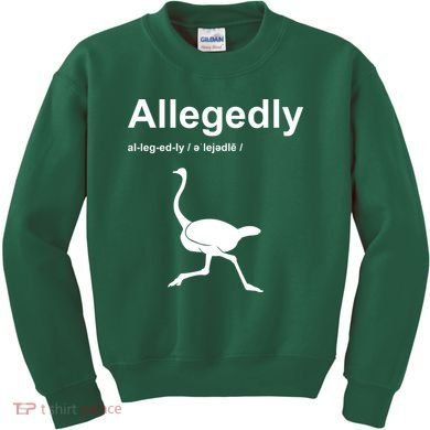 Allegedly Ostrich Funny Kids Sweatshirt