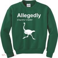 Allegedly Ostrich Funny Kids Sweatshirt thumb 0