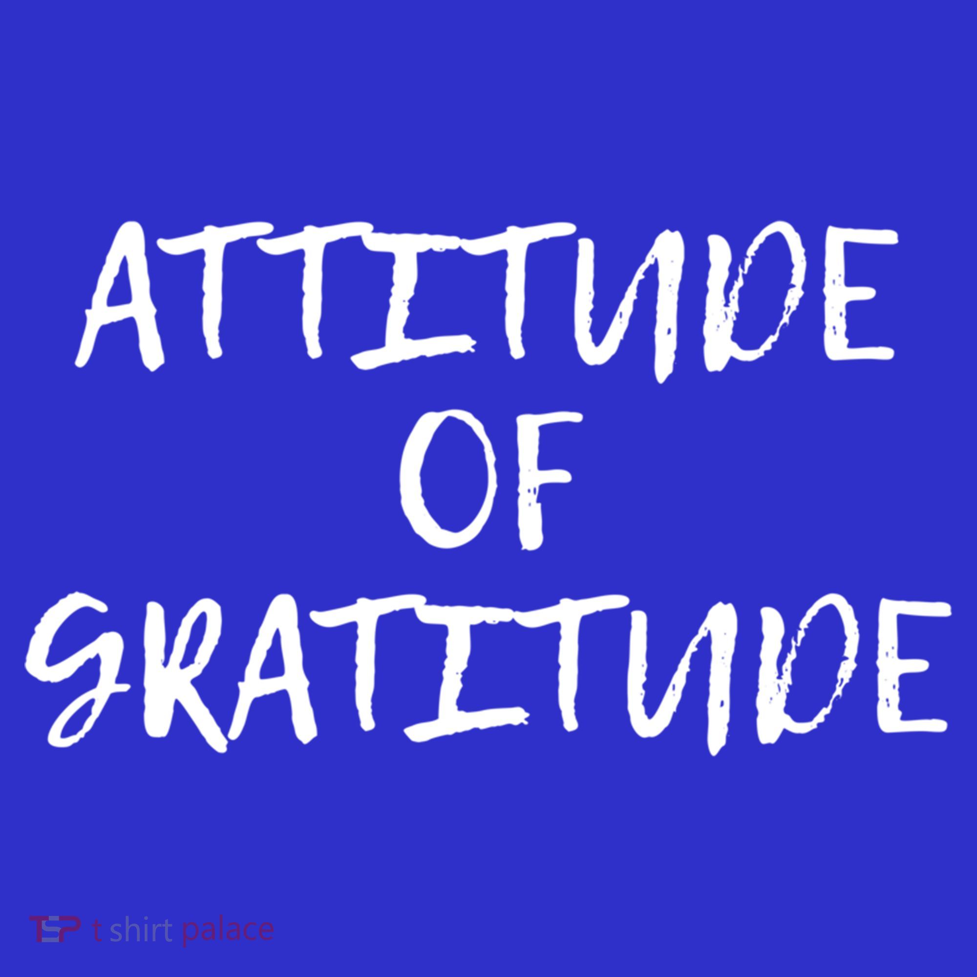 Attitude Of Gratitude Cool Gift Long Sleeve Shirt