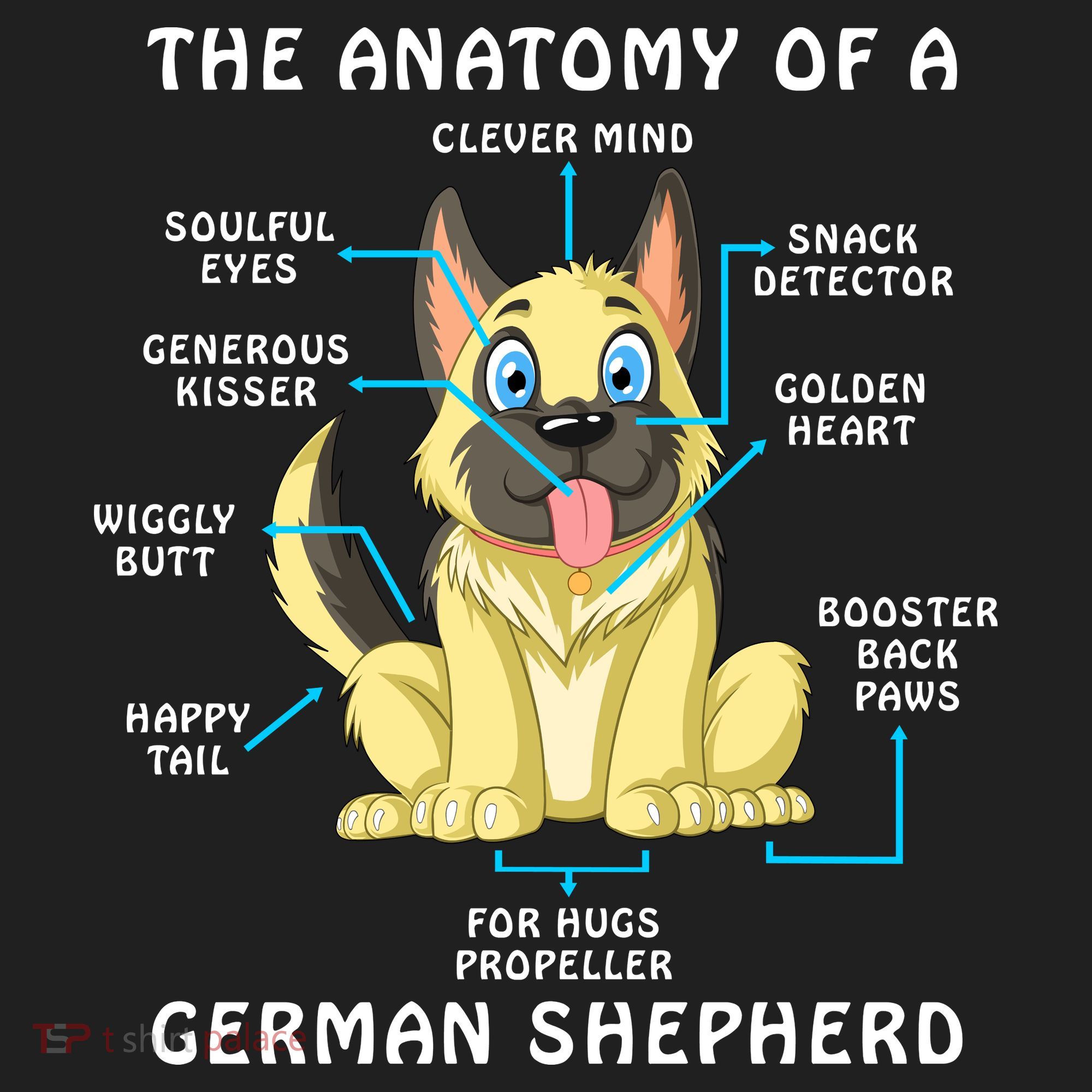 Anatomy Of German Shepherd Beanie