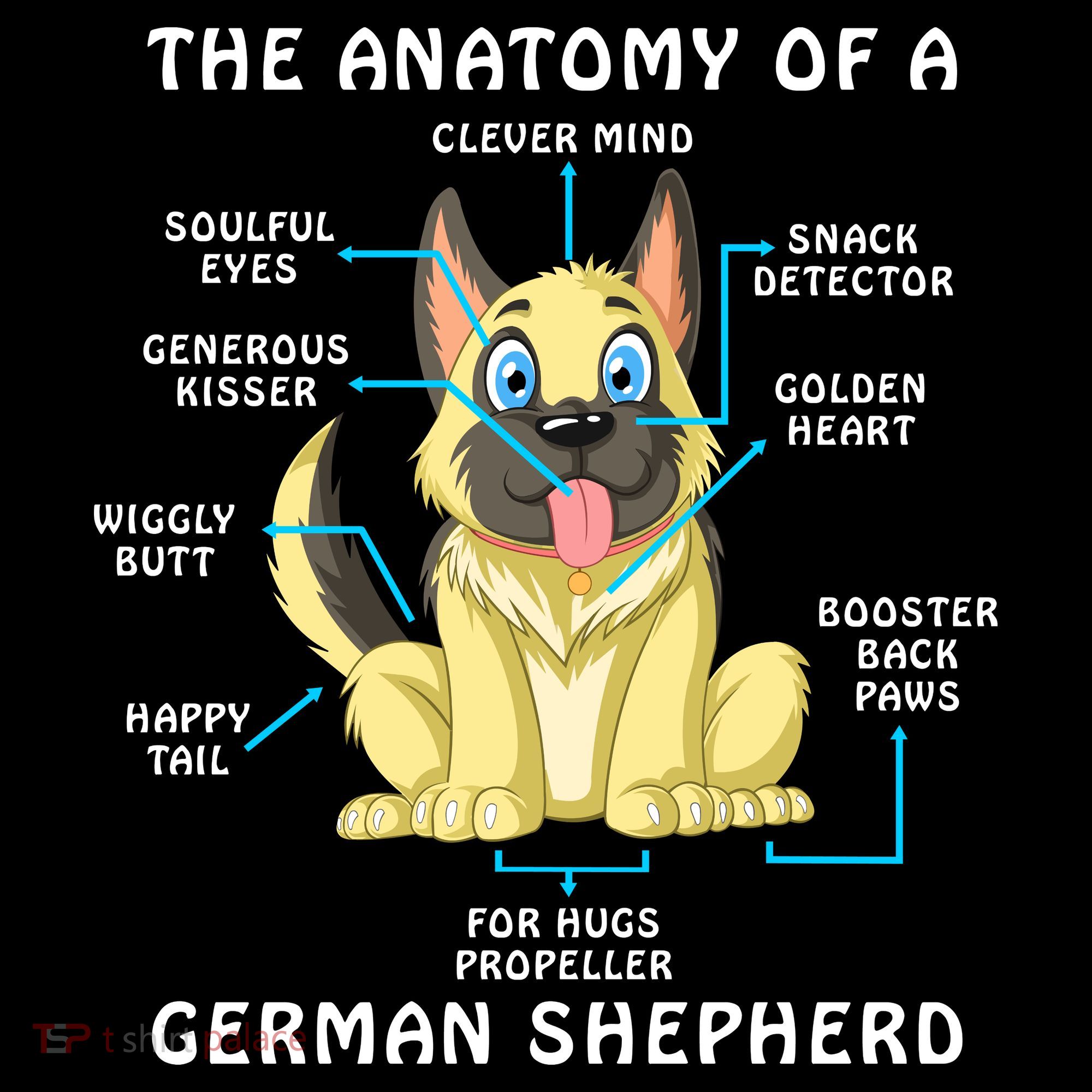 Anatomy Of German Shepherd Coaster