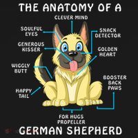 Anatomy Of German Shepherd Women's Tank Top thumb 5