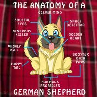 Anatomy Of German Shepherd Women's Flannel Plaid Pajama Pants thumb 2