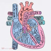 Anatomical Of Heart Cardiac Nurse Practioner Sonographer T-Shirt thumb 7