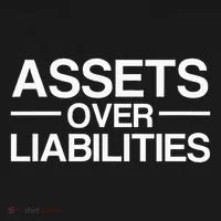 Assets Over Liabilities Accountant Button thumb 1
