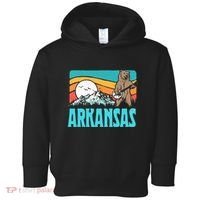 Arkansas Ozark Mountains Bluegrass Banjo Bear Toddler Hoodie thumb 0