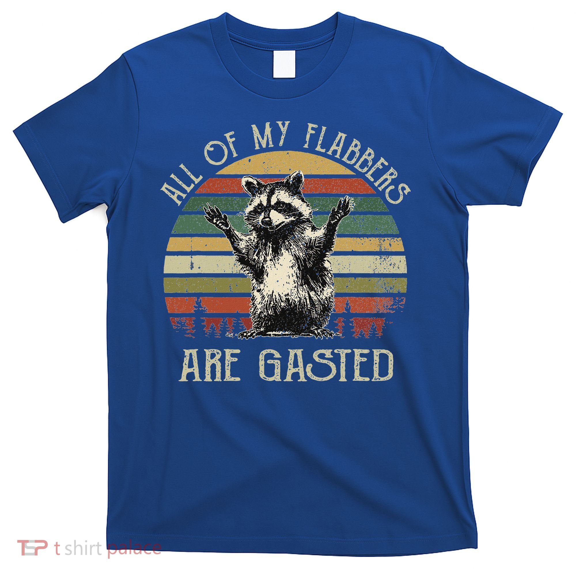 All Of My Flabbers Are Gasted Raccoon T-Shirt