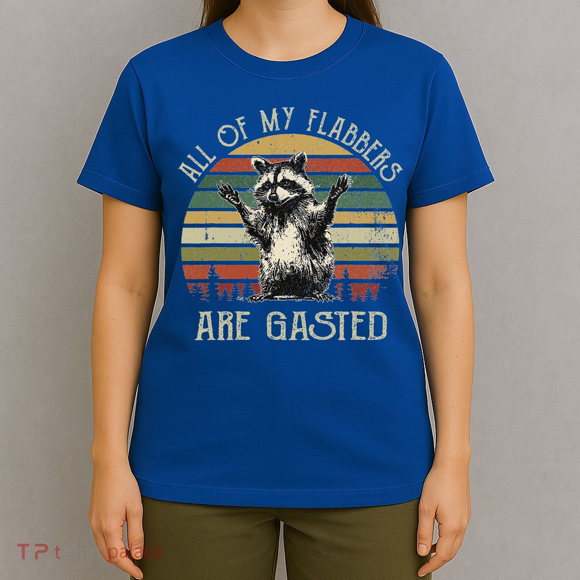 All Of My Flabbers Are Gasted Raccoon T-Shirt