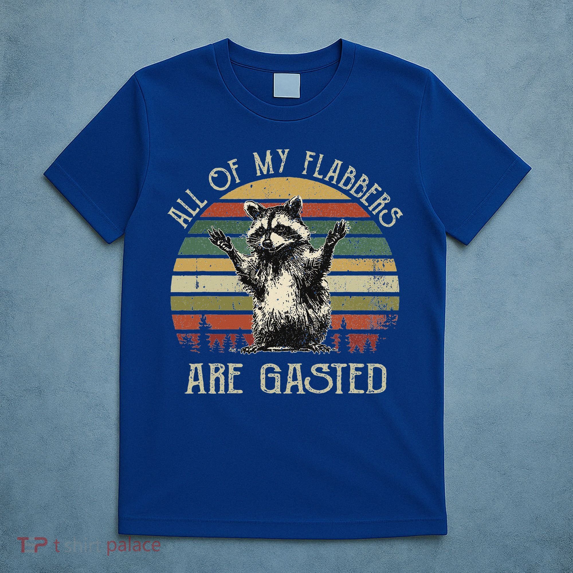 All Of My Flabbers Are Gasted Raccoon T-Shirt