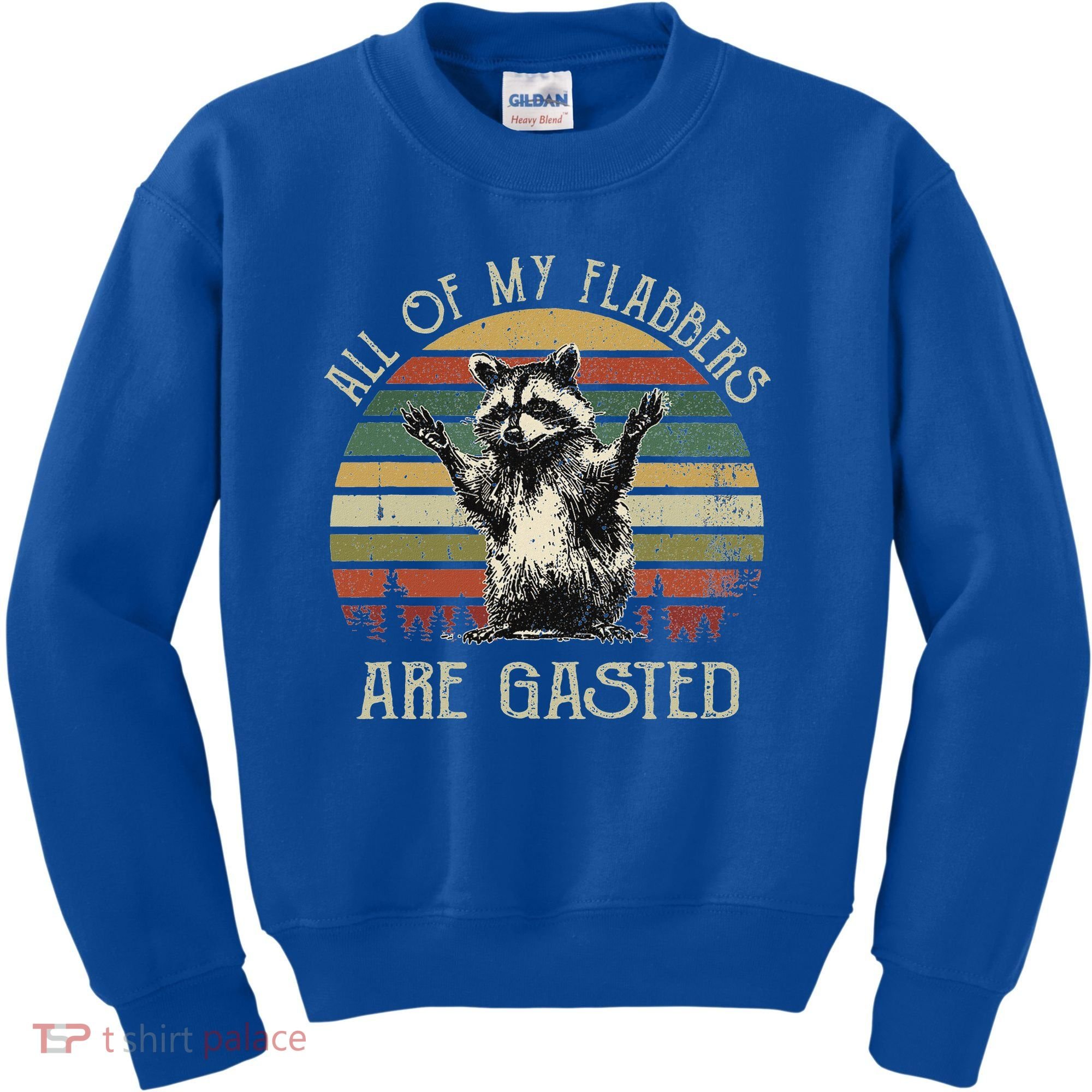 All Of My Flabbers Are Gasted Raccoon Kids Sweatshirt