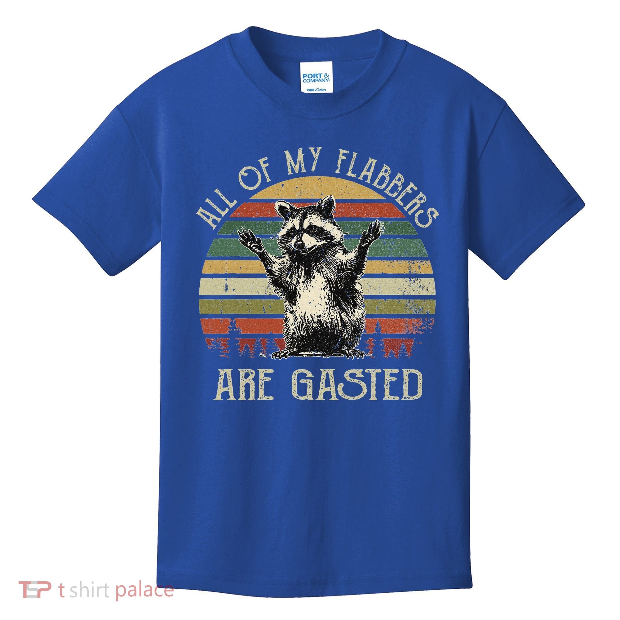 All Of My Flabbers Are Gasted Raccoon Kids T-Shirt