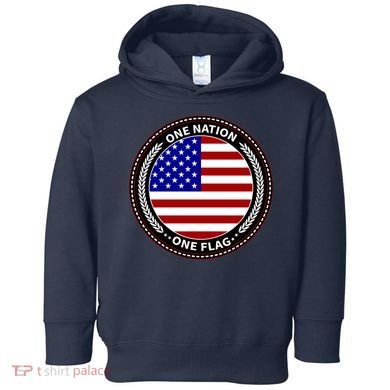 America One Nation One Flag Toddler Hoodie