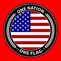 America One Nation One Flag Santa Hat thumb 1