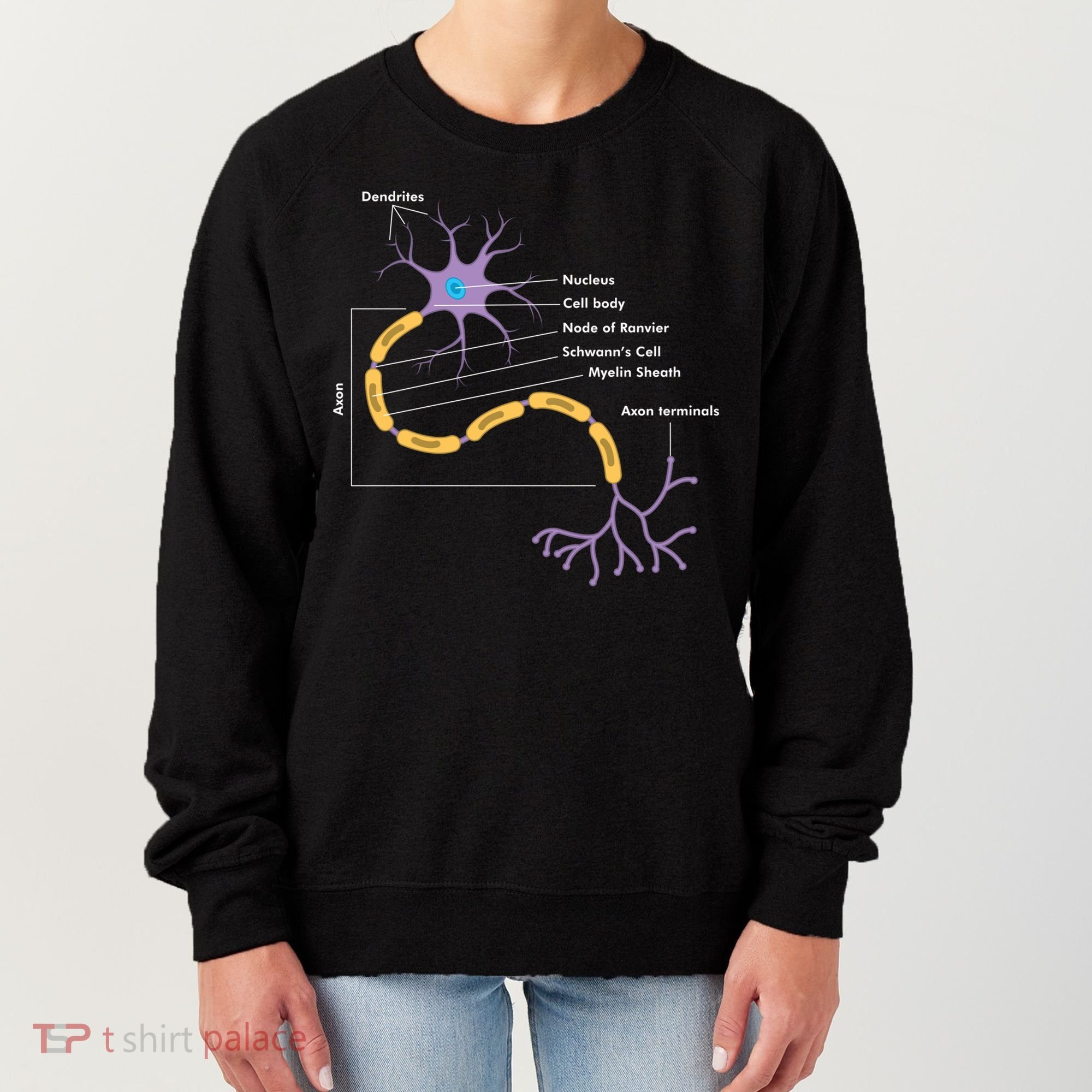 Anatomy Of Neuron Neurologist Gift Women's Sweatshirt