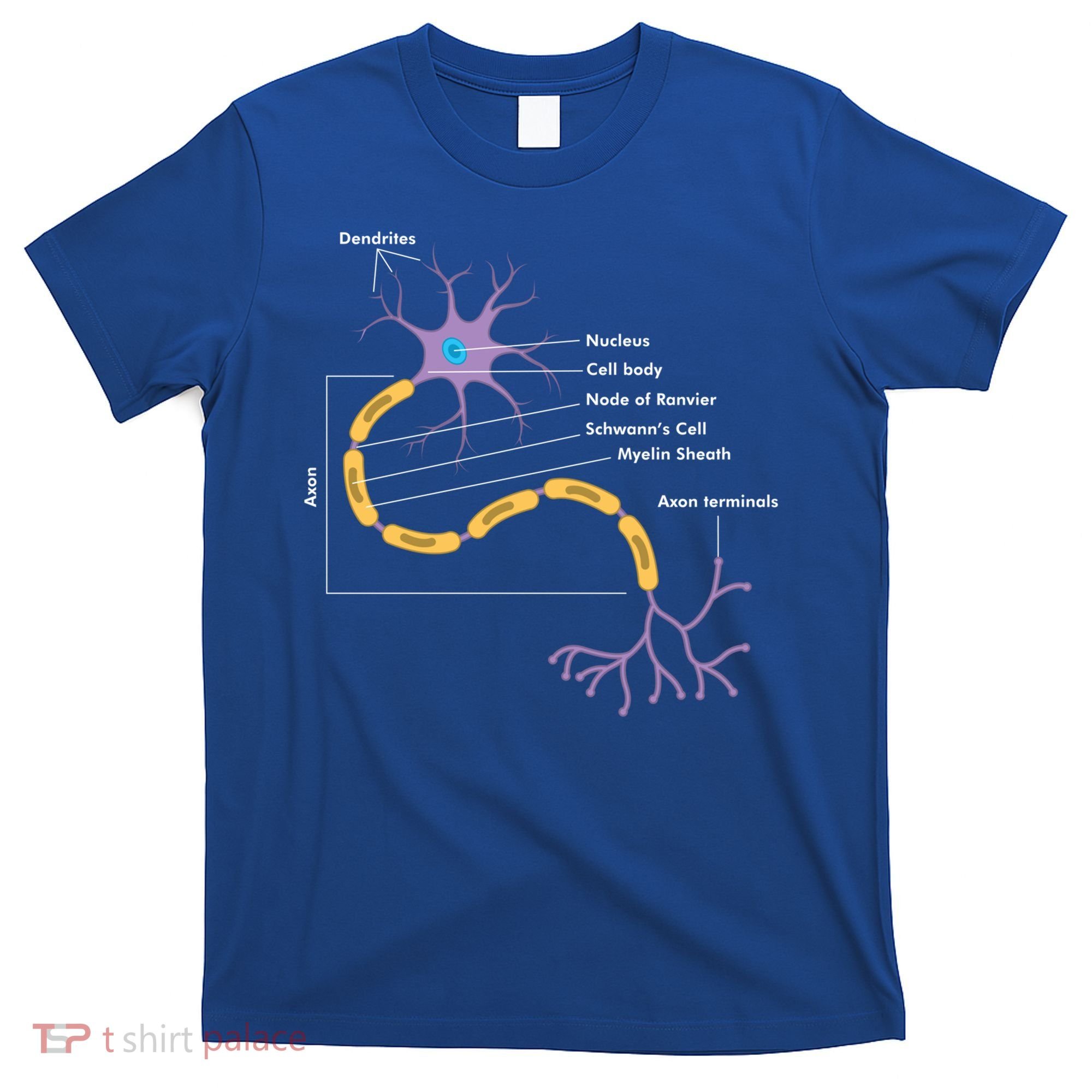 Anatomy Of Neuron Neurologist Gift T-Shirt