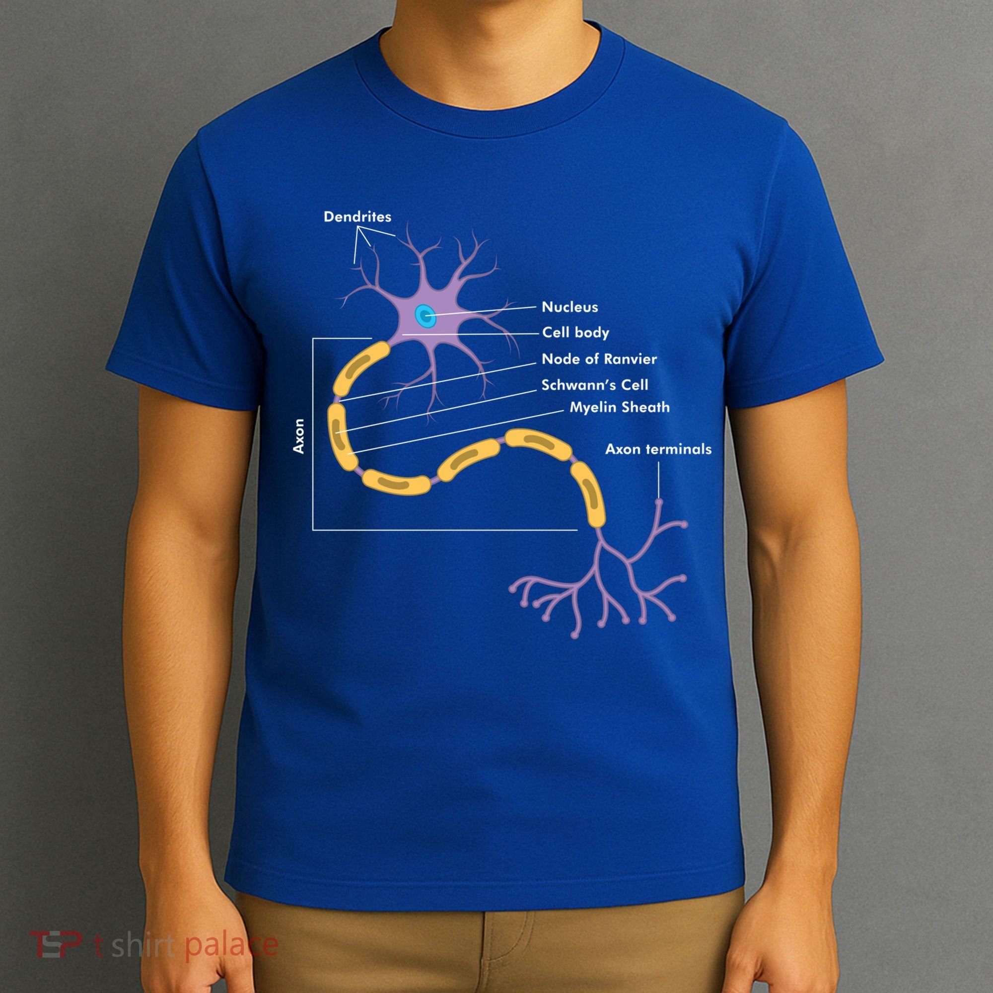 Anatomy Of Neuron Neurologist Gift T-Shirt