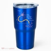 Anatomy Of Neuron Neurologist Gift Tumbler thumb 0