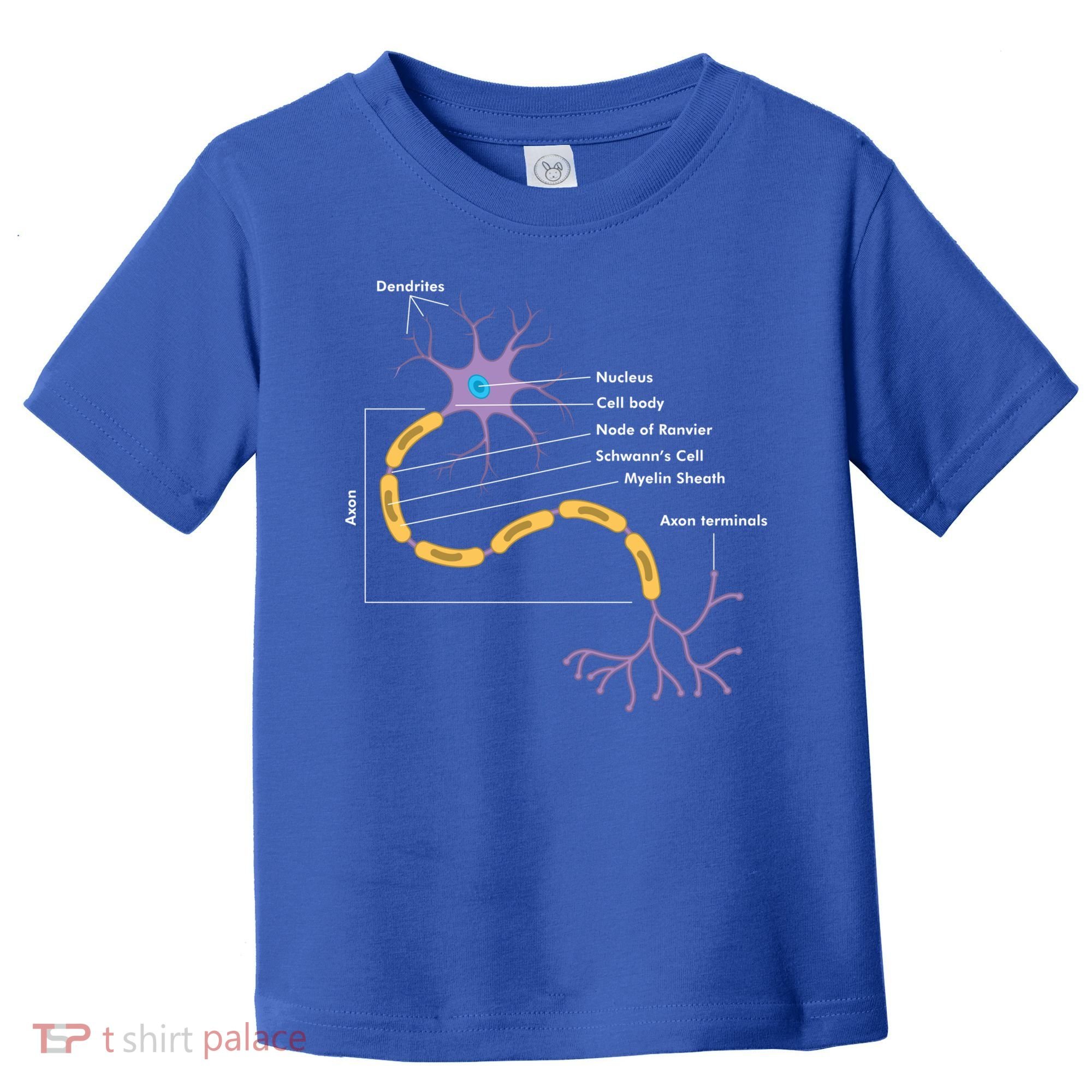 Anatomy Of Neuron Neurologist Gift Toddler T-Shirt