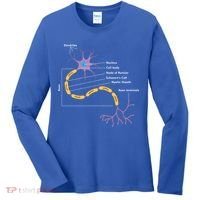 Anatomy Of Neuron Neurologist Gift Women's Long Sleeve Shirt thumb 0