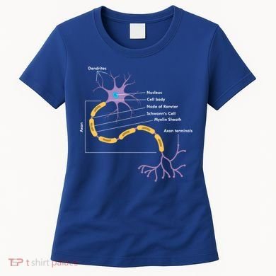Anatomy Of Neuron Neurologist Gift Women's T-Shirt